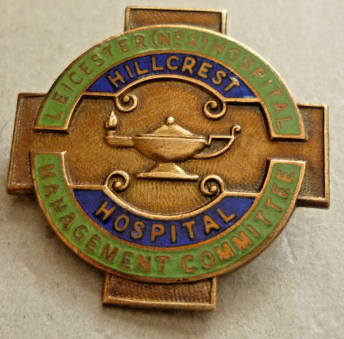 Vintage nursing enamel badge - vintage,