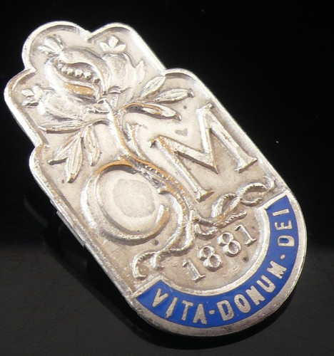 Vintage enamel nursing badge - enamel,
